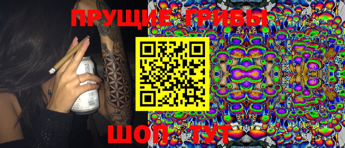 Псилоцибиновые грибы Psilocybe Донецк