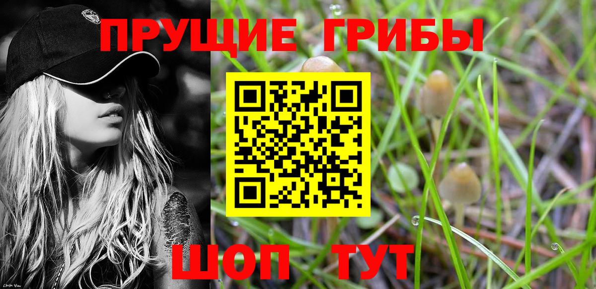 Донецк  Галлюциногенные грибы прущие грибы  Вход с VPN 